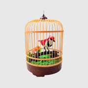 Voice Control Bird Cage