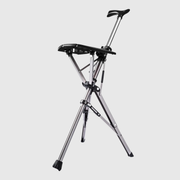 2In1 Adjustable Cane