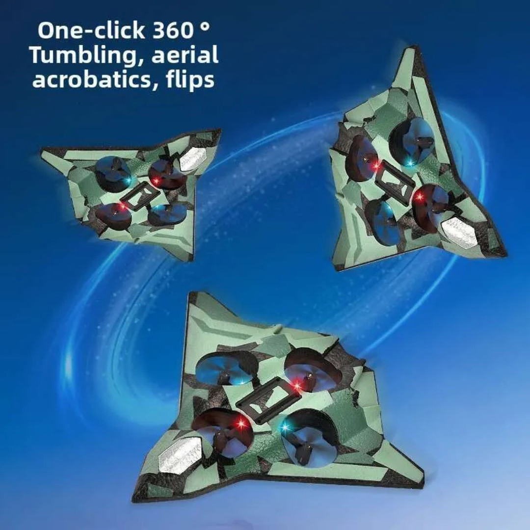 RC Fighter Jet Model