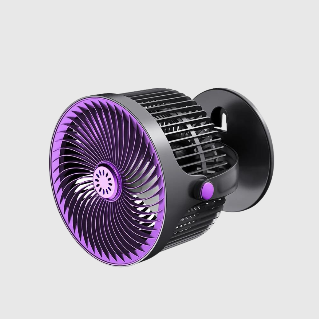Wall Mounted Fan