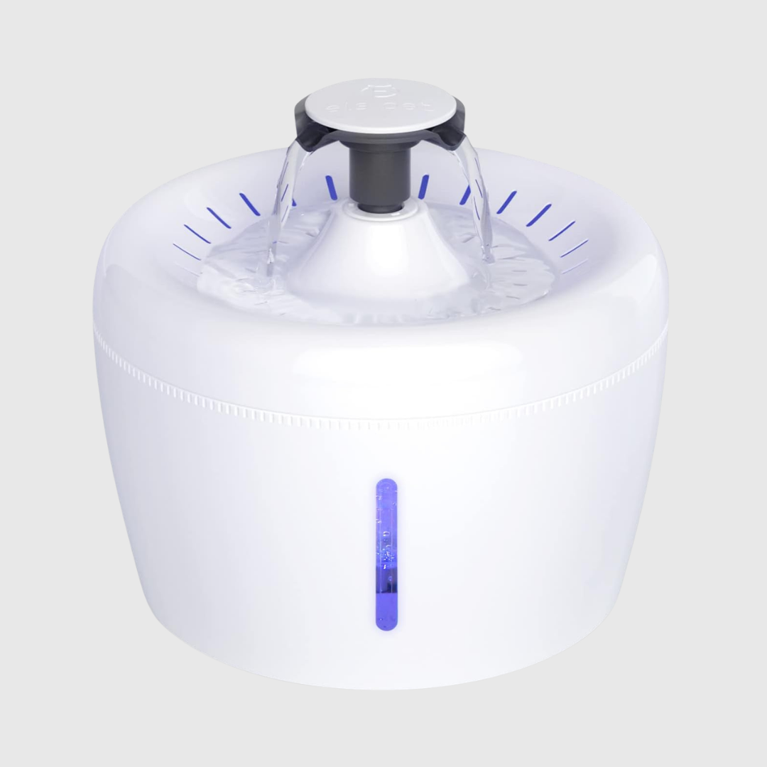 Electric Pet Water Dispenser