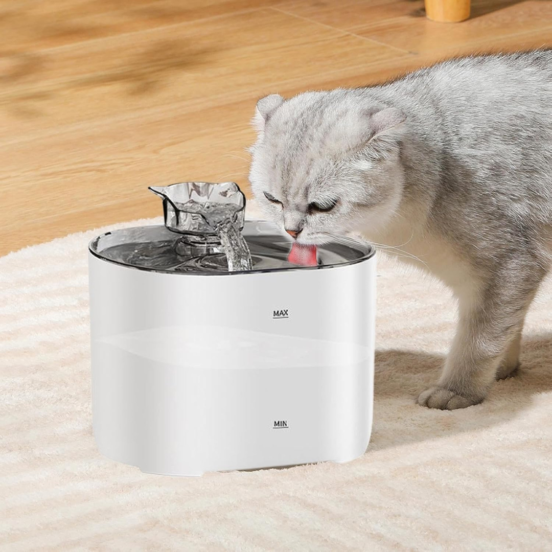 Intelligent Pet Water Dispenser