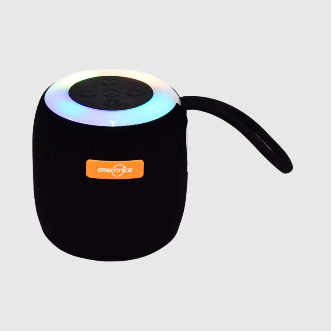 Portable Mini Speaker