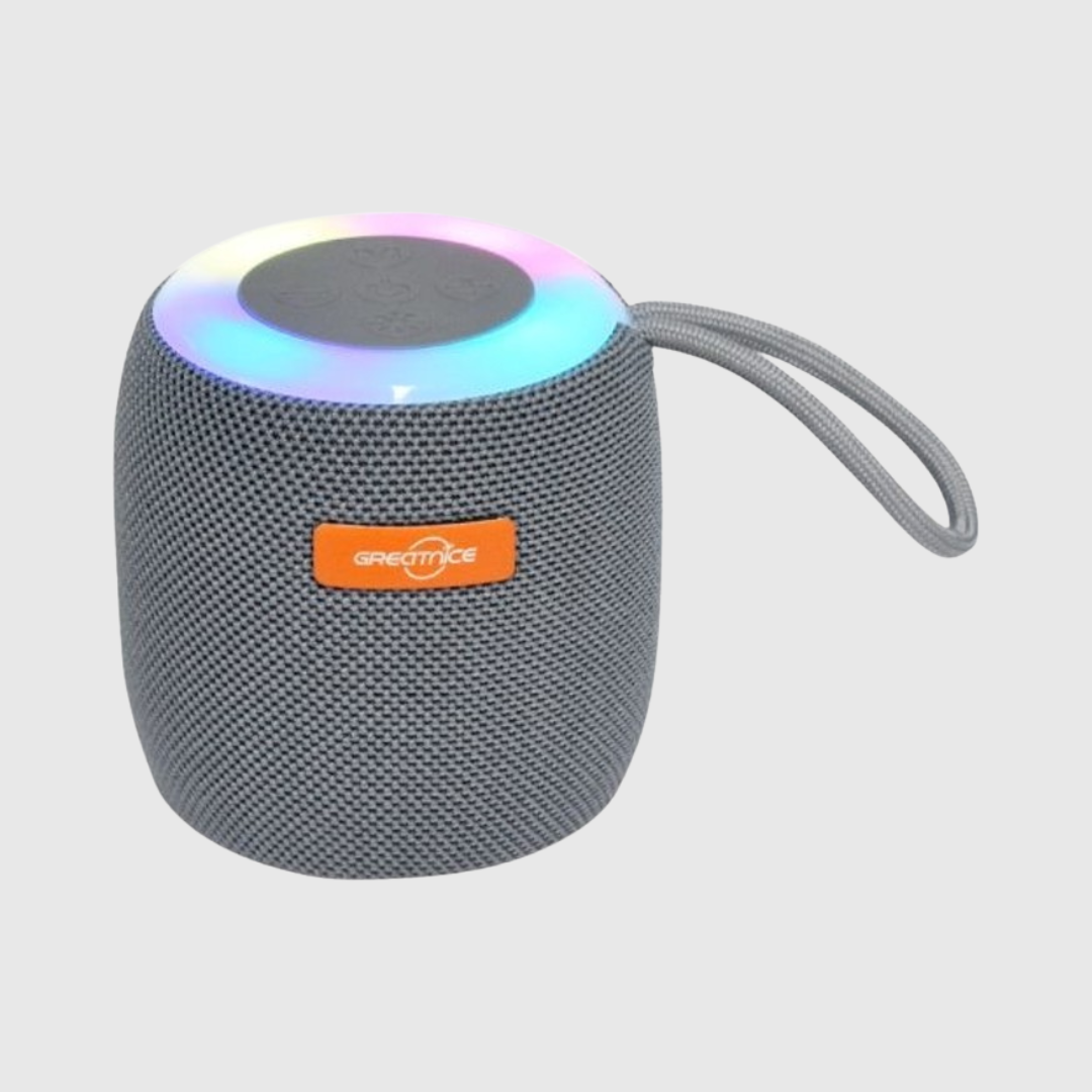 Portable Mini Speaker