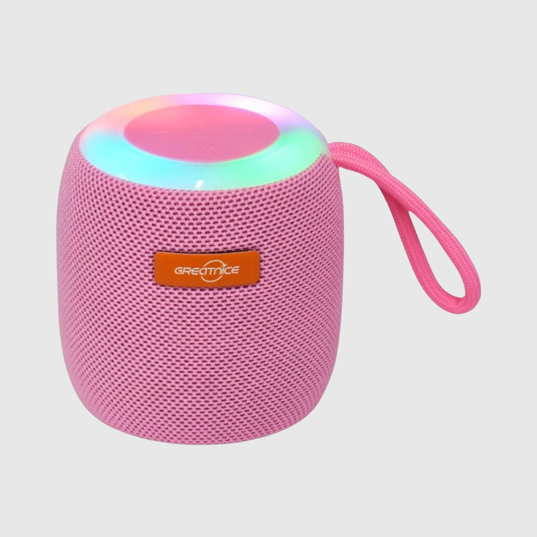 Portable Mini Speaker