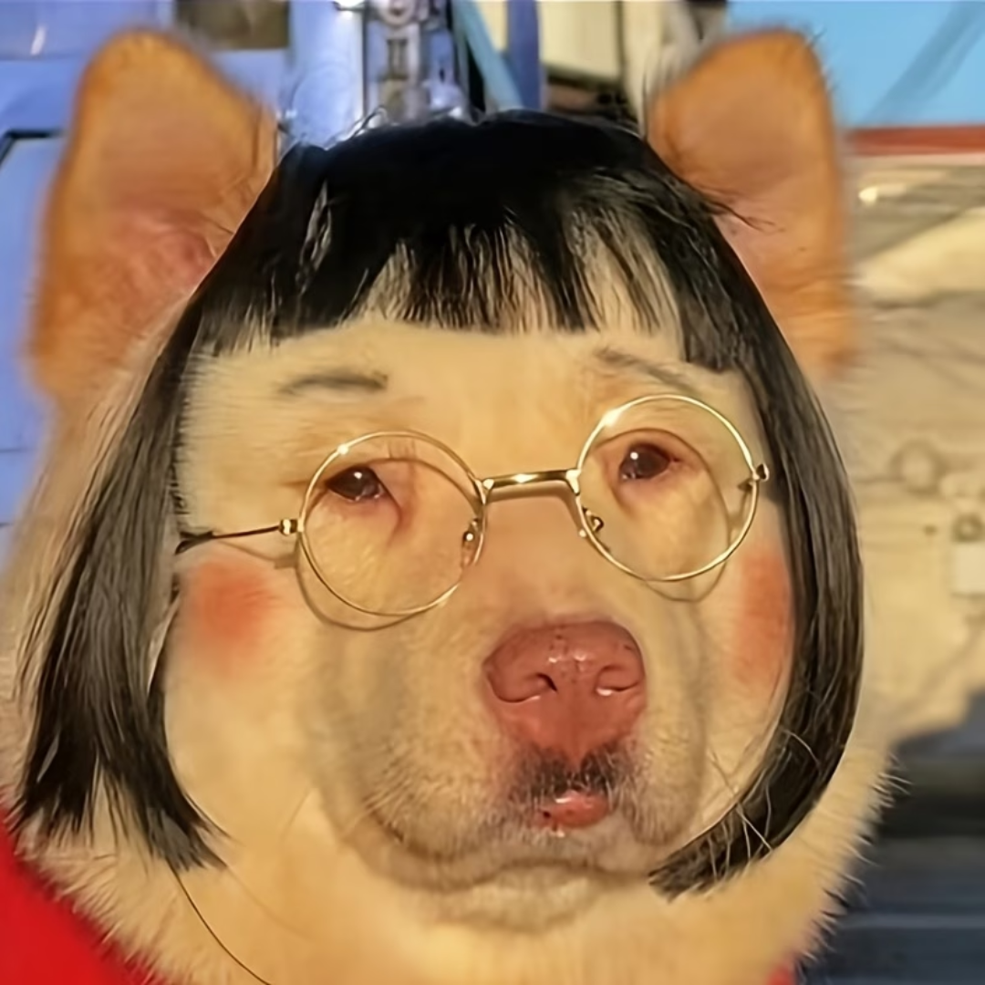 Pet Wigs