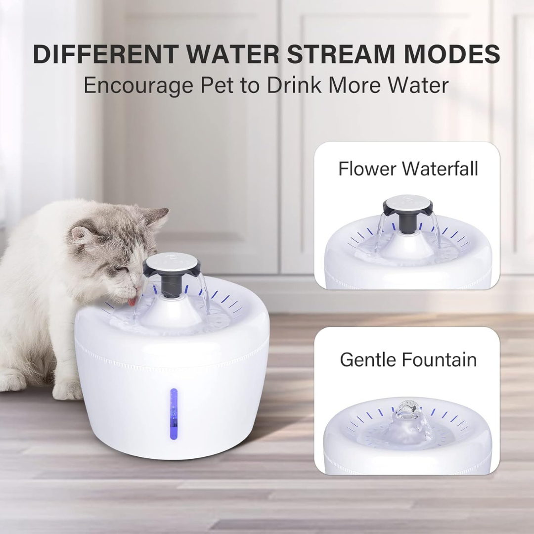 Electric Pet Water Dispenser