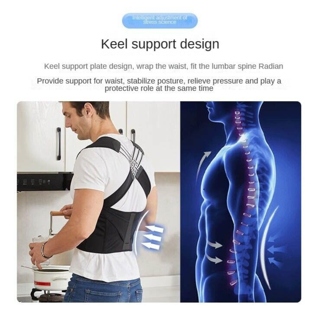 Posture Corrector Belt (Size L)