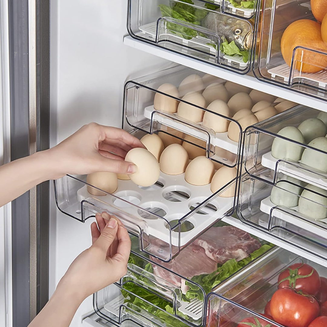Egg Holder Organizer