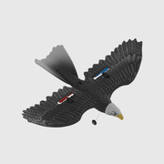 Eagle Glider