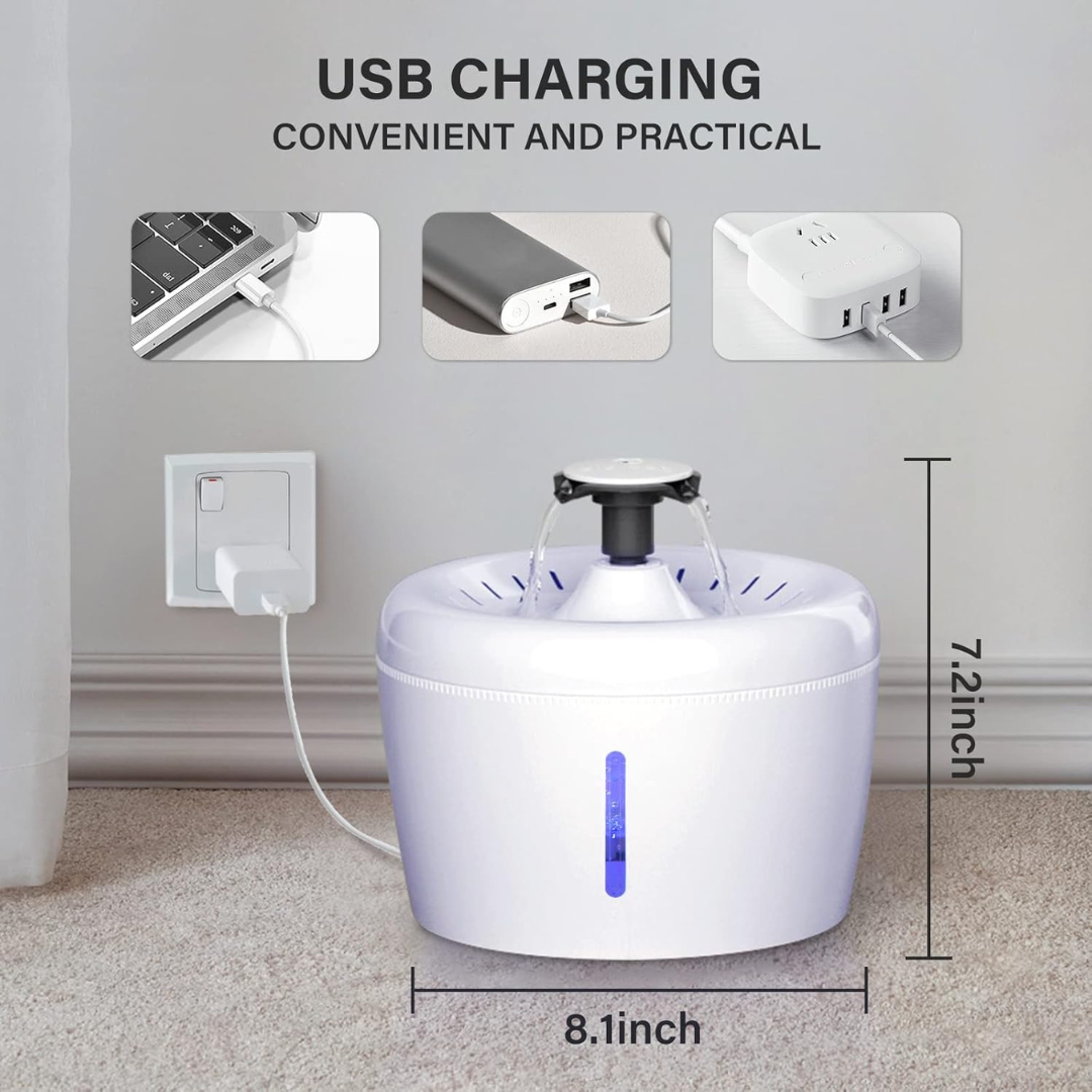 Electric Pet Water Dispenser