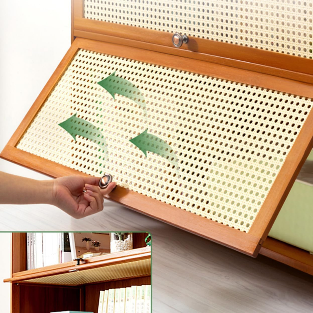 Minimalist Shoe Cabinet