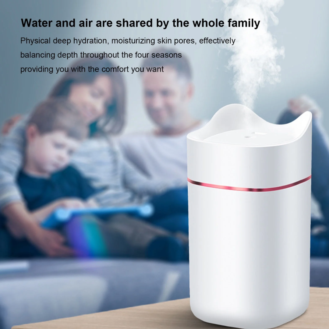 Humidifier