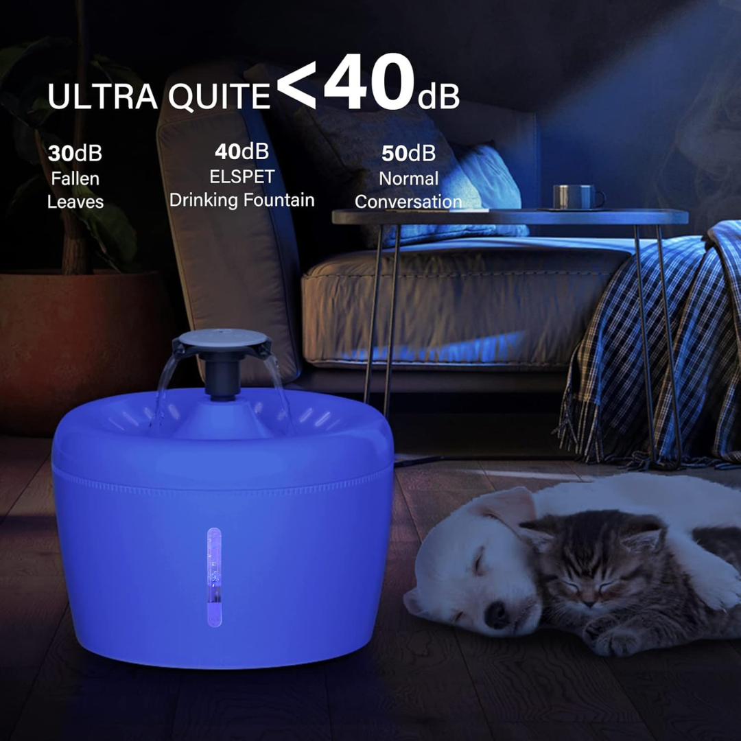 Electric Pet Water Dispenser