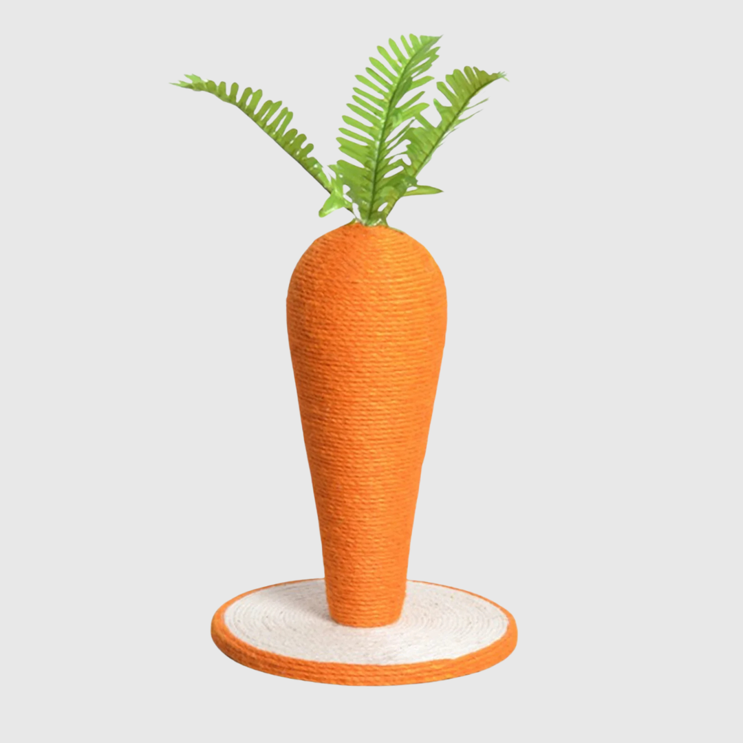 Carrot Rope Cat Scratching Post