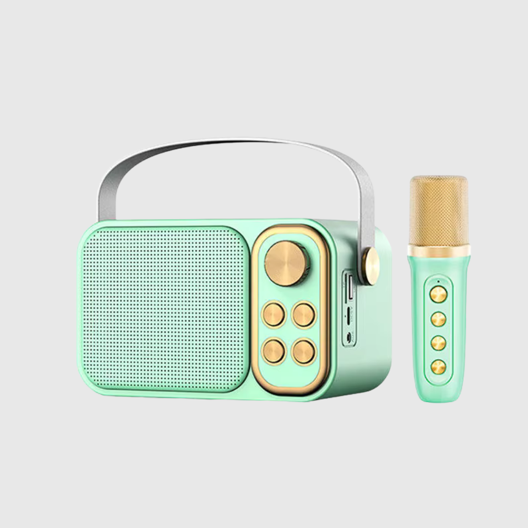 Hot Selling Karaoke Set (Microphone 1 pcs)