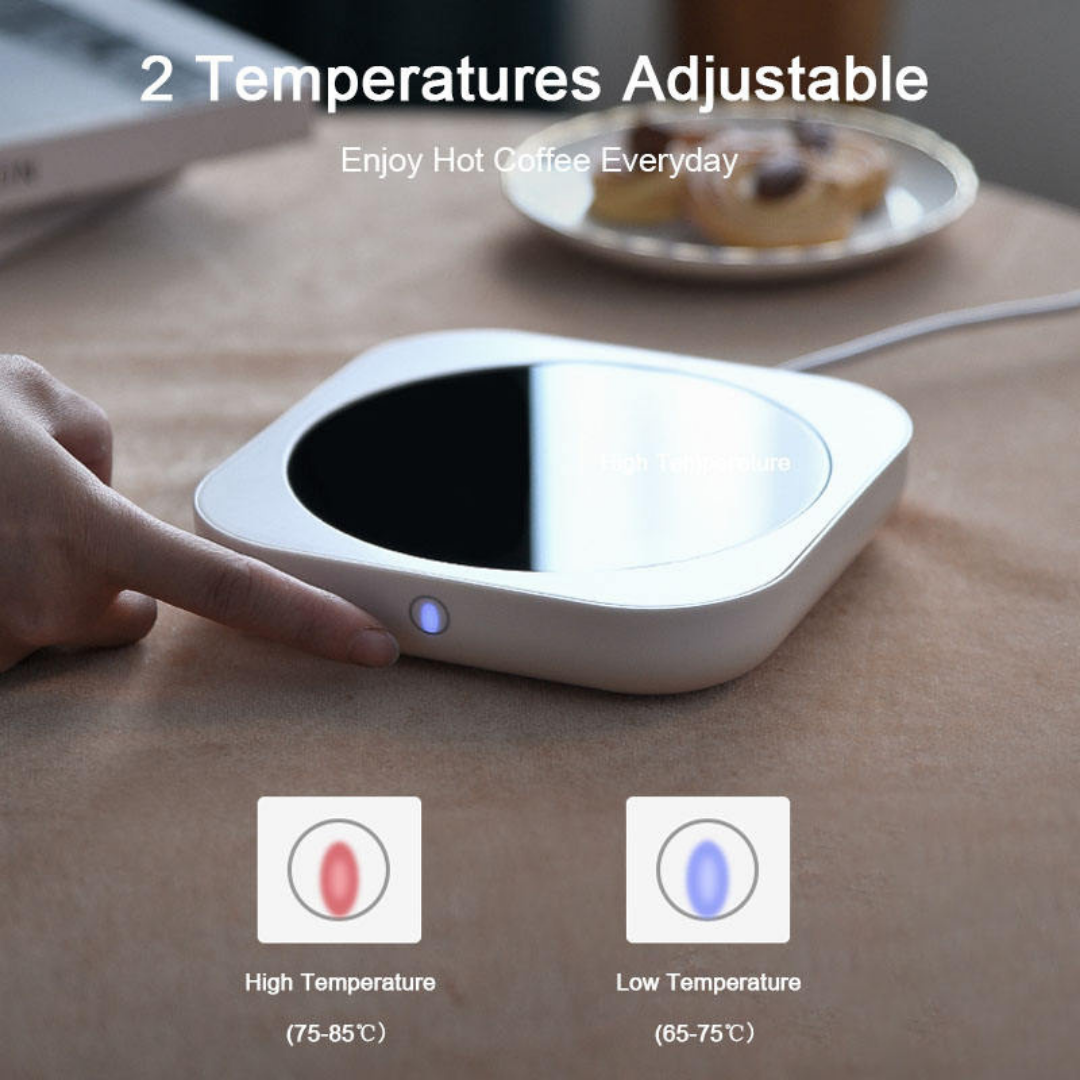 Constant-Temperature Heater