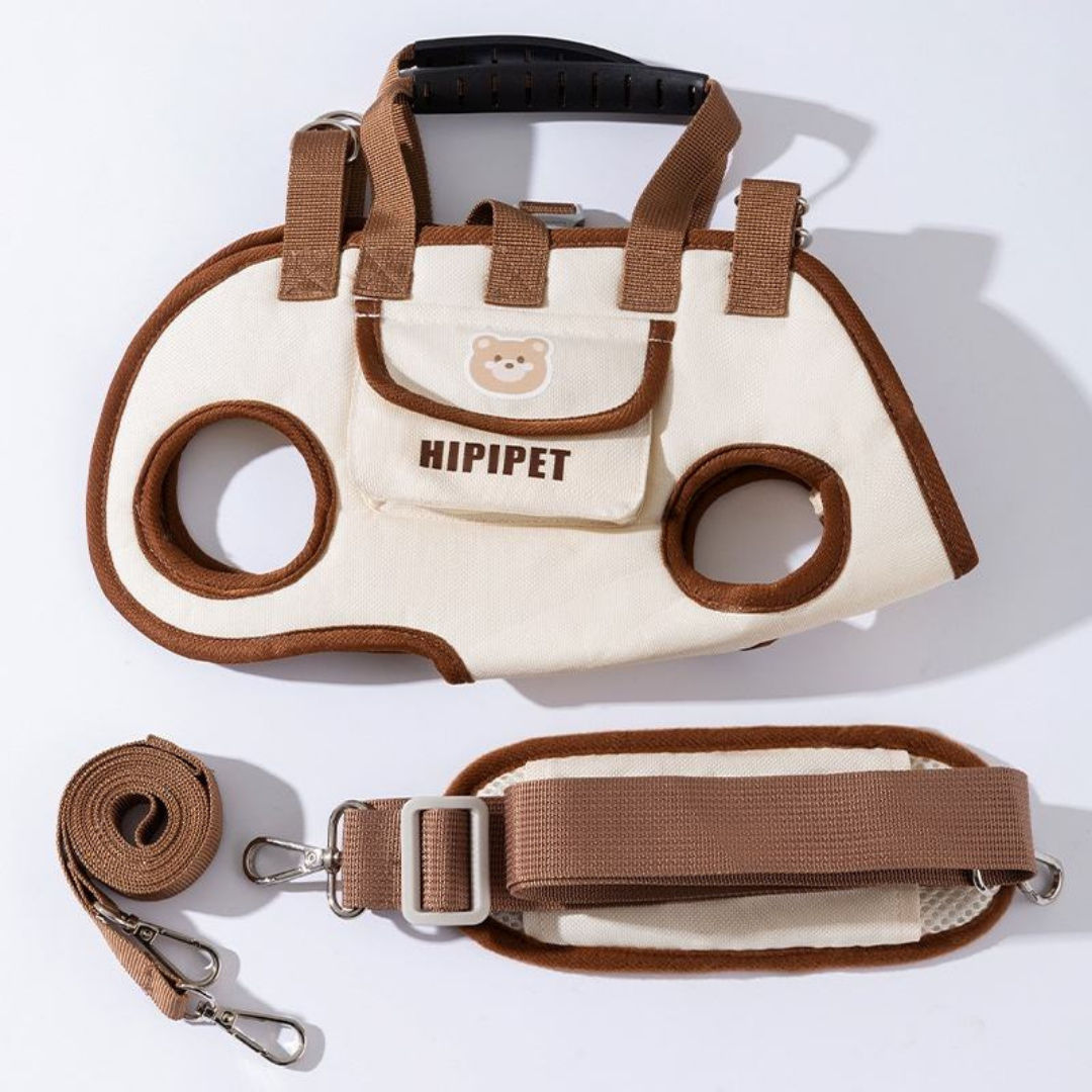 Dog Handbag