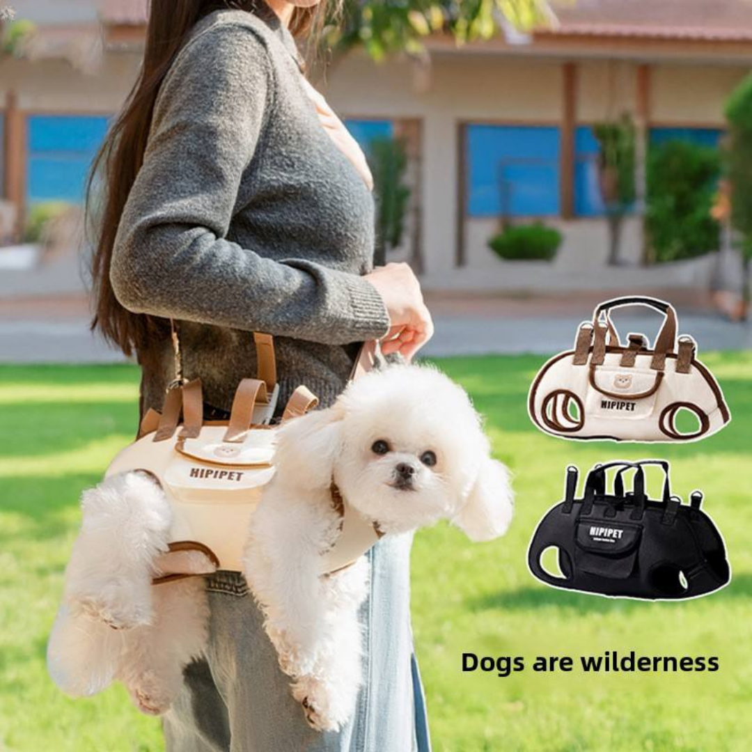Dog Handbag