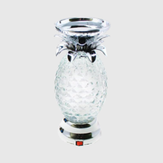 Candle C-22