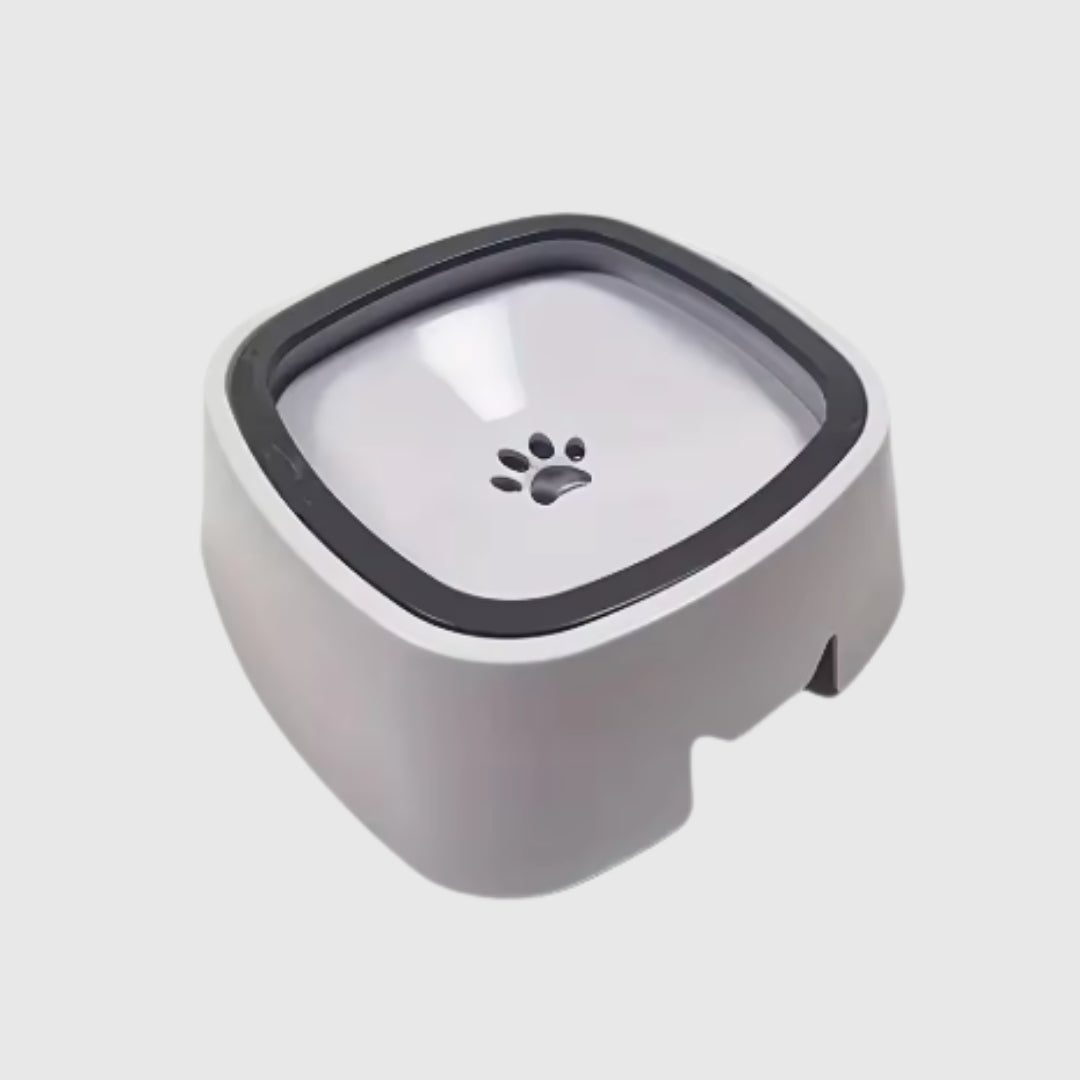 Pet Drinking Bowl