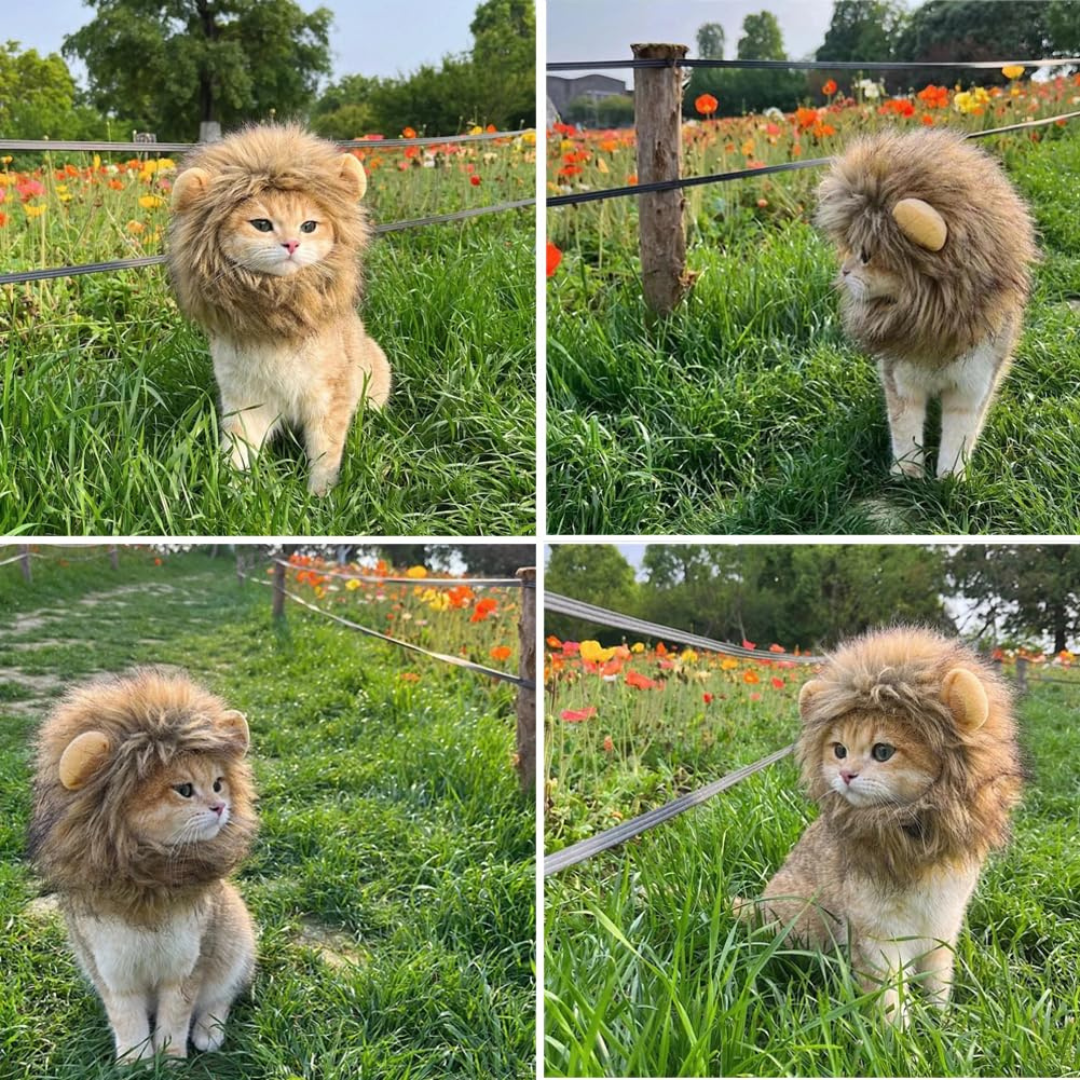 Cat Lion Head Cover Head