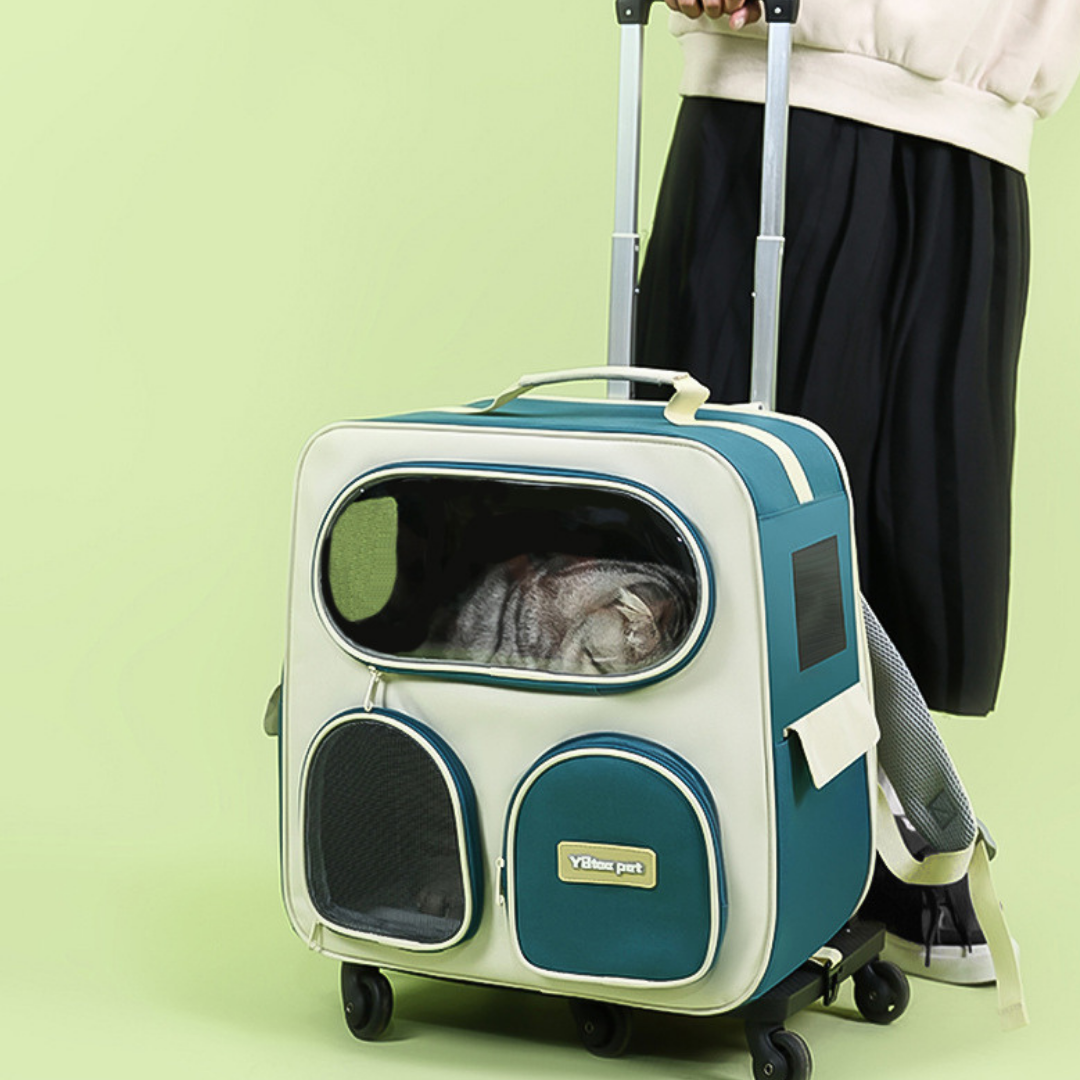 Luggage Box