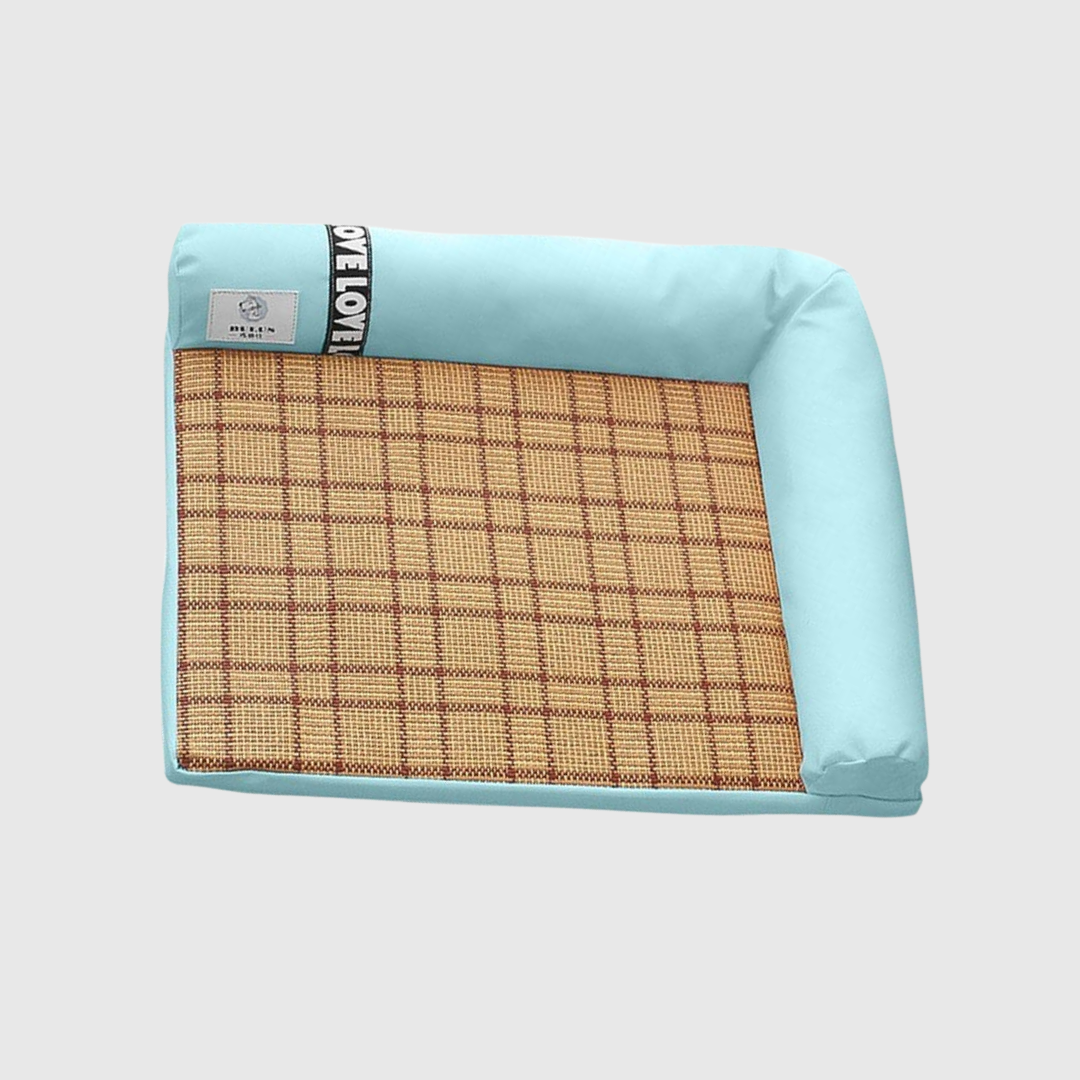 Removable Pet Litter Box Medium