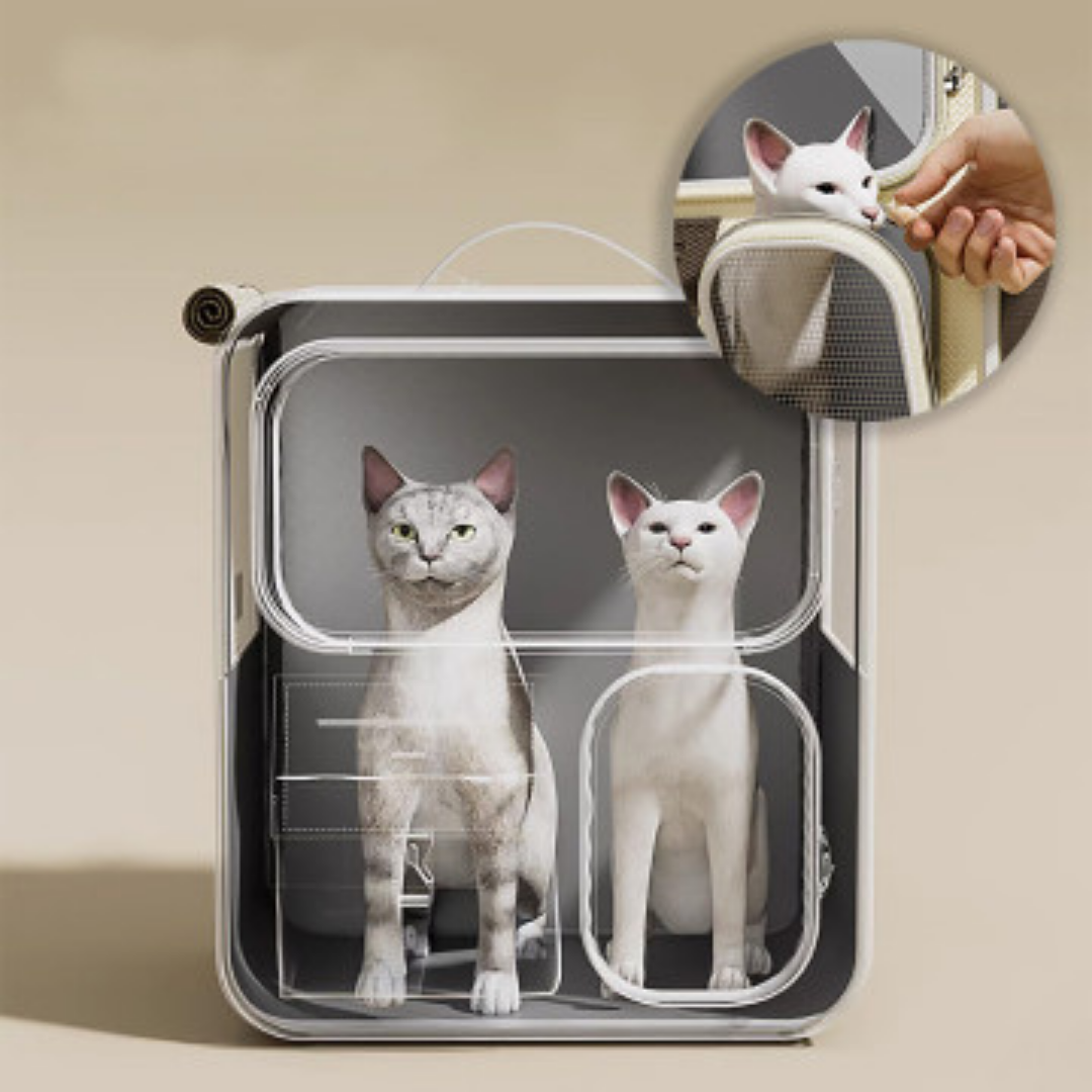 Luggage Box