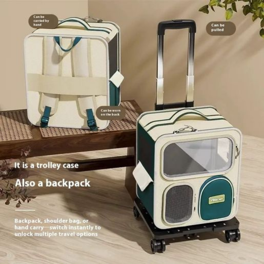 Luggage Box