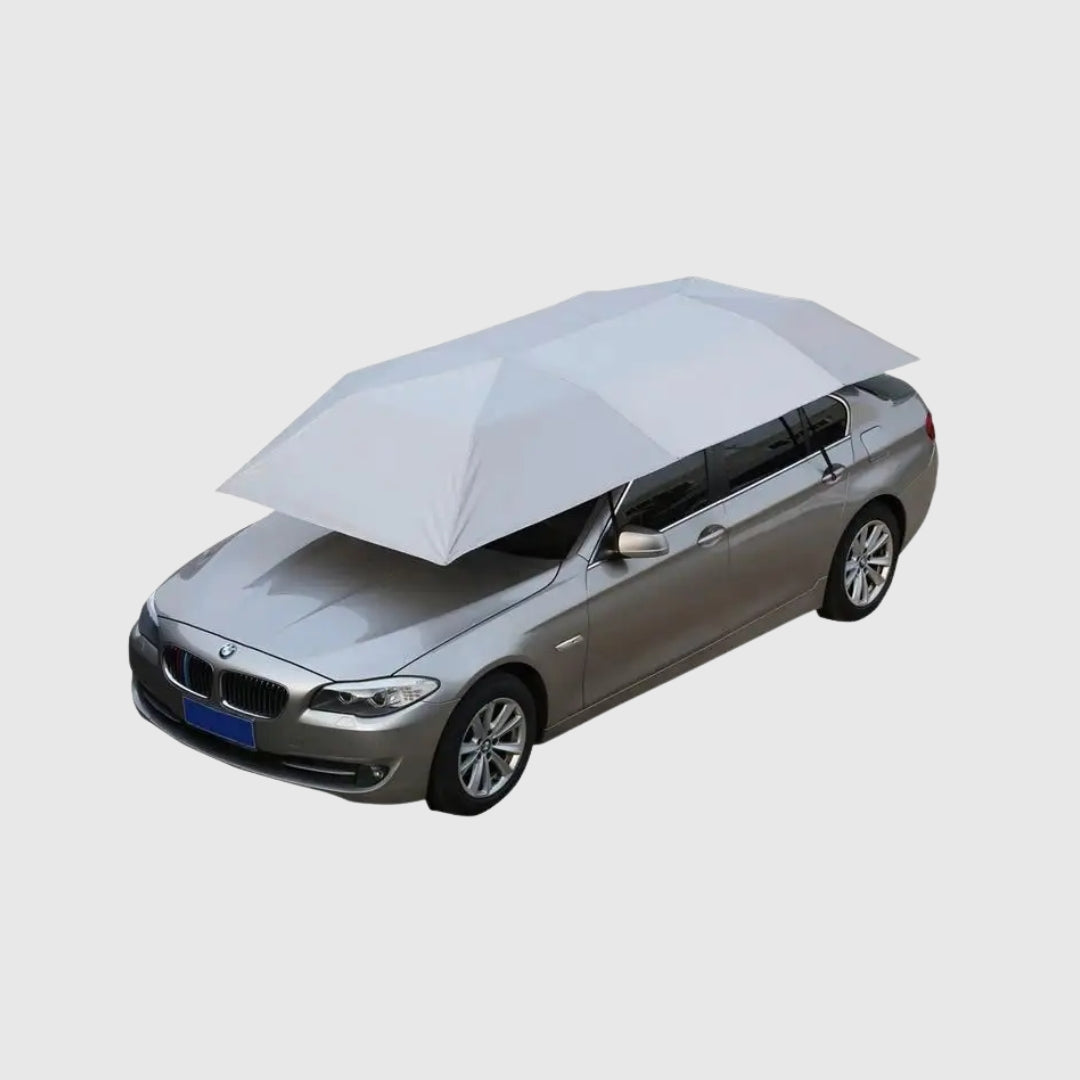 Car Awning (Medium) 420*220cm