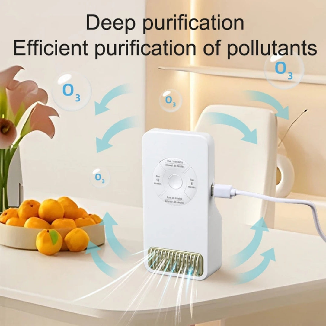 Intelligent Ozone Deodorizer