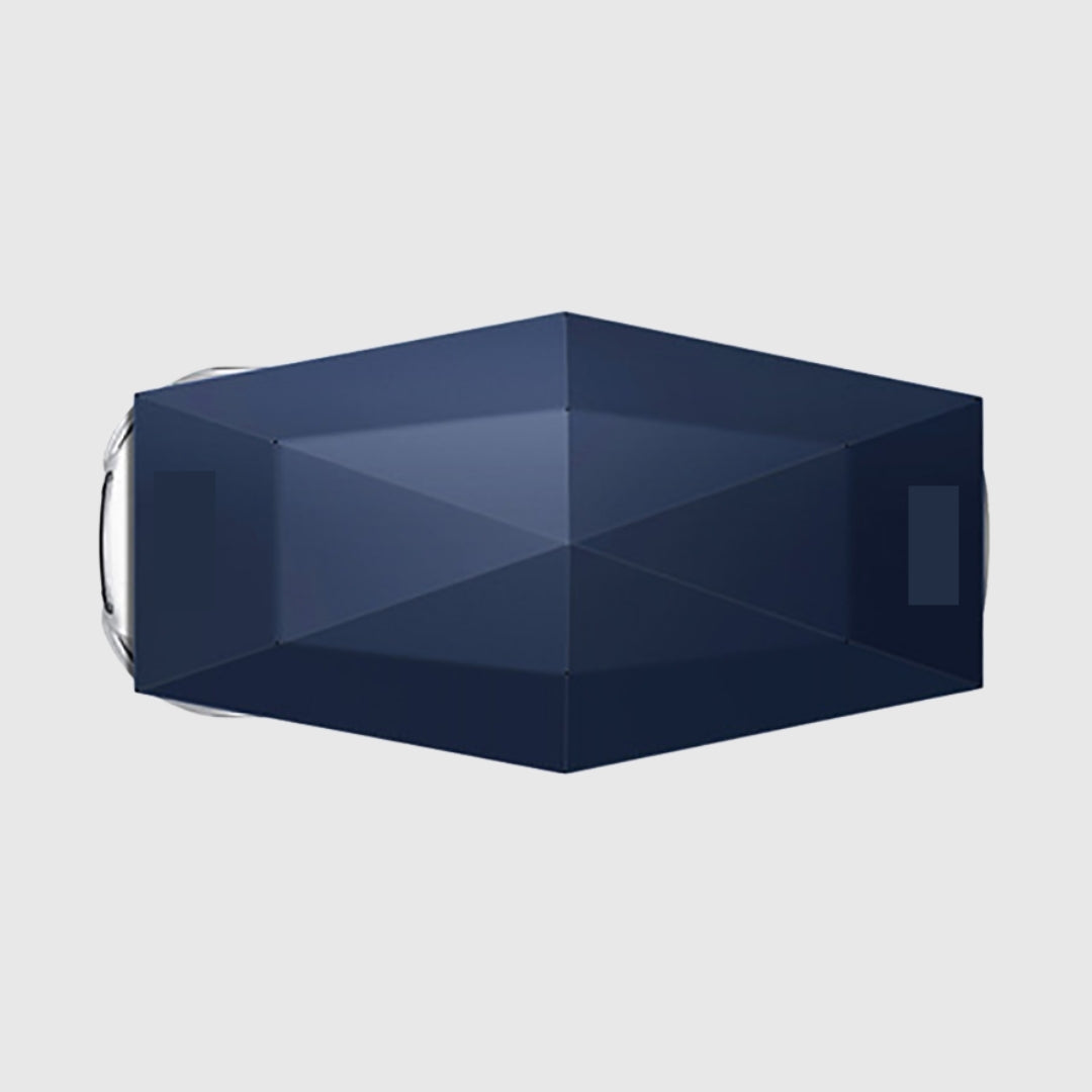 Car Awning (Medium) 420*220cm