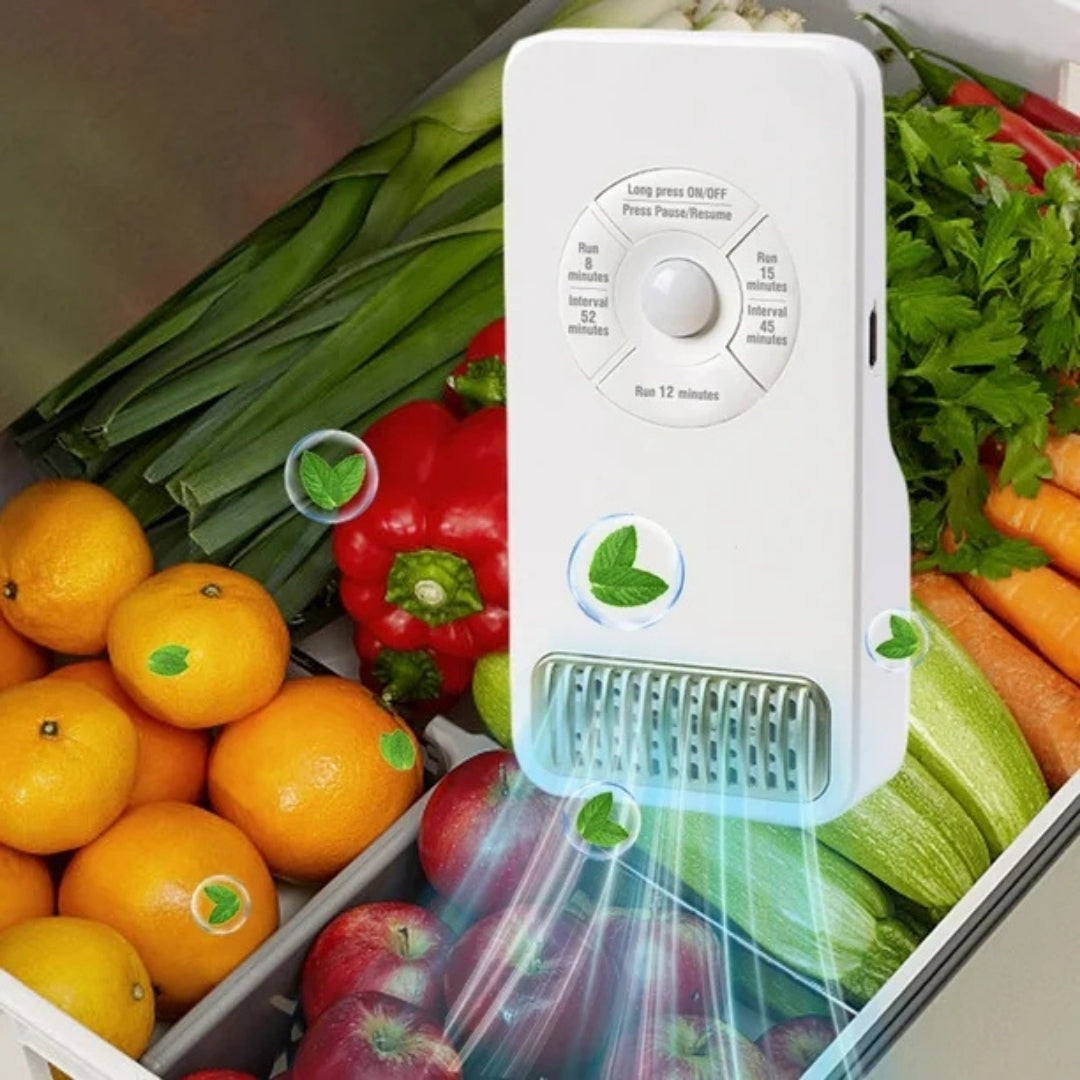 Intelligent Ozone Deodorizer