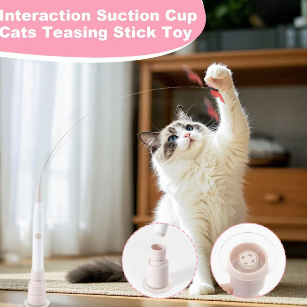 Automatic Cat Teaser Wand