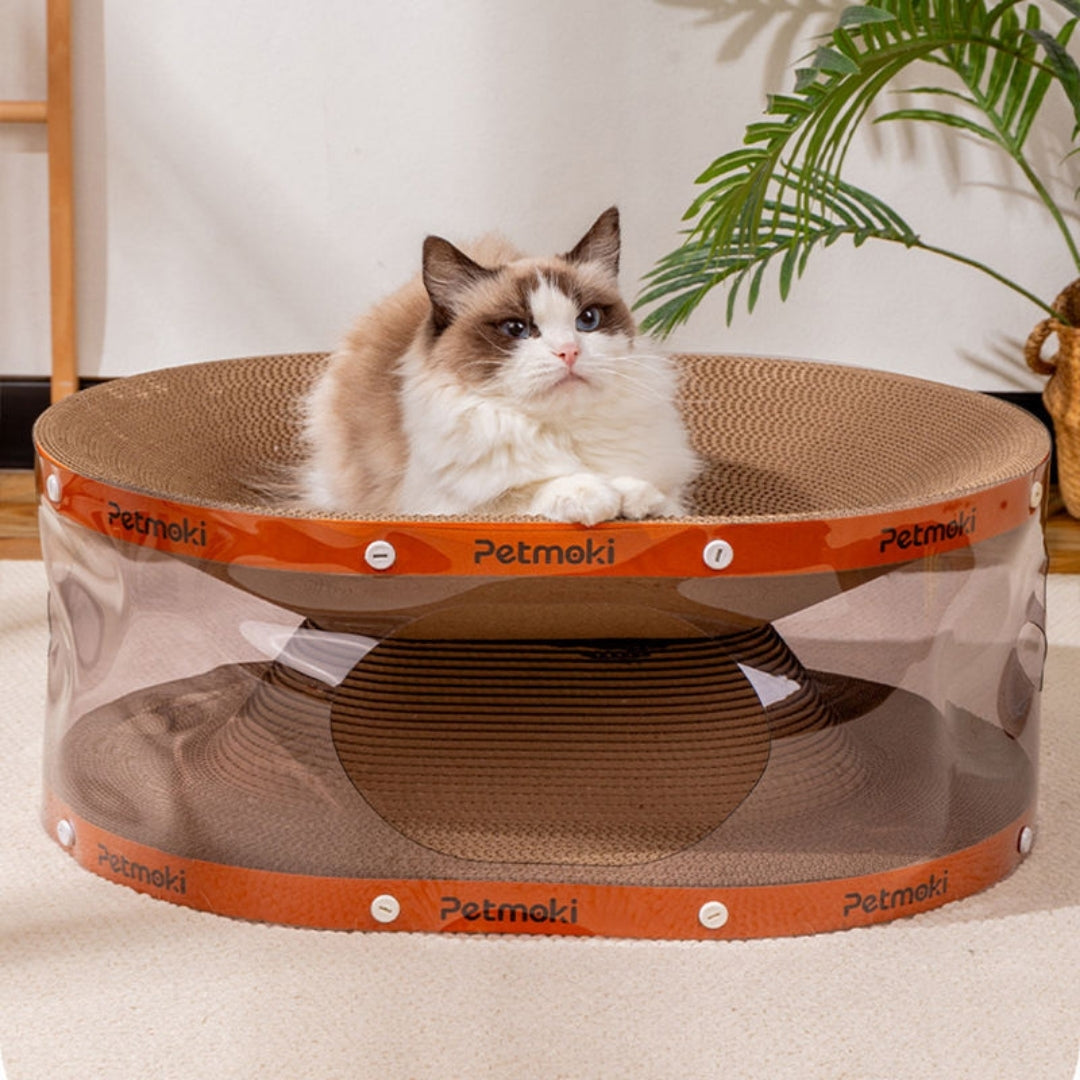 Explosive Multifunctional Cat Litter Box