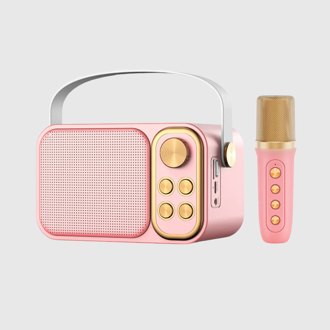 Hot Selling Karaoke Set (Microphone 1 pcs)