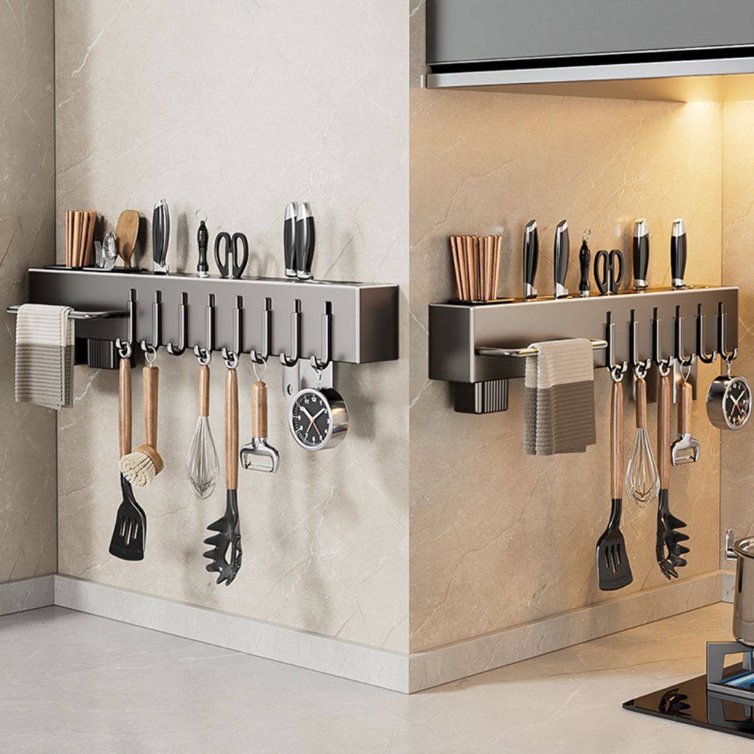 Stainless Steel Organizer Wall Rack