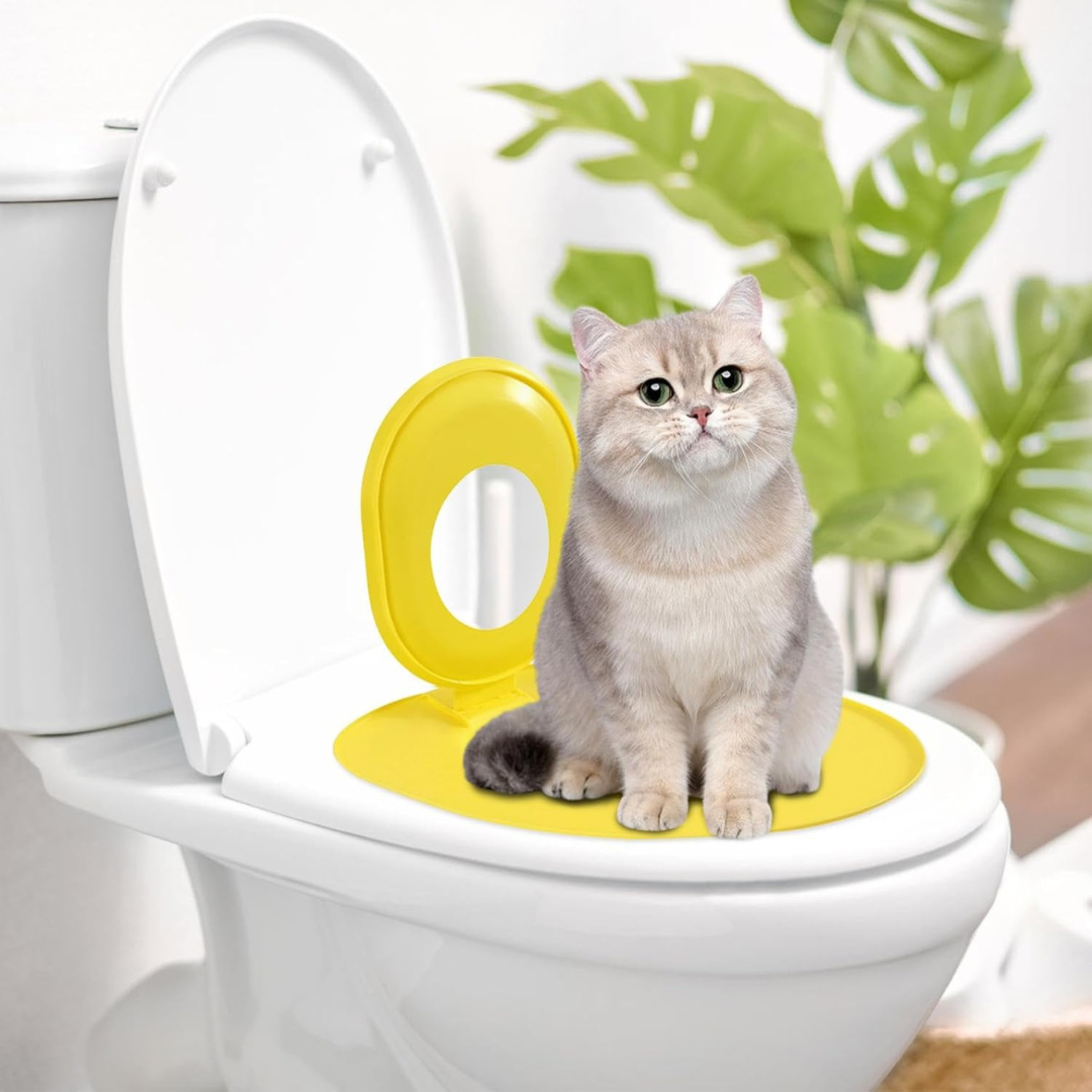 Cat Litter Training Tray