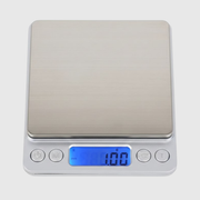 Electronic Scale