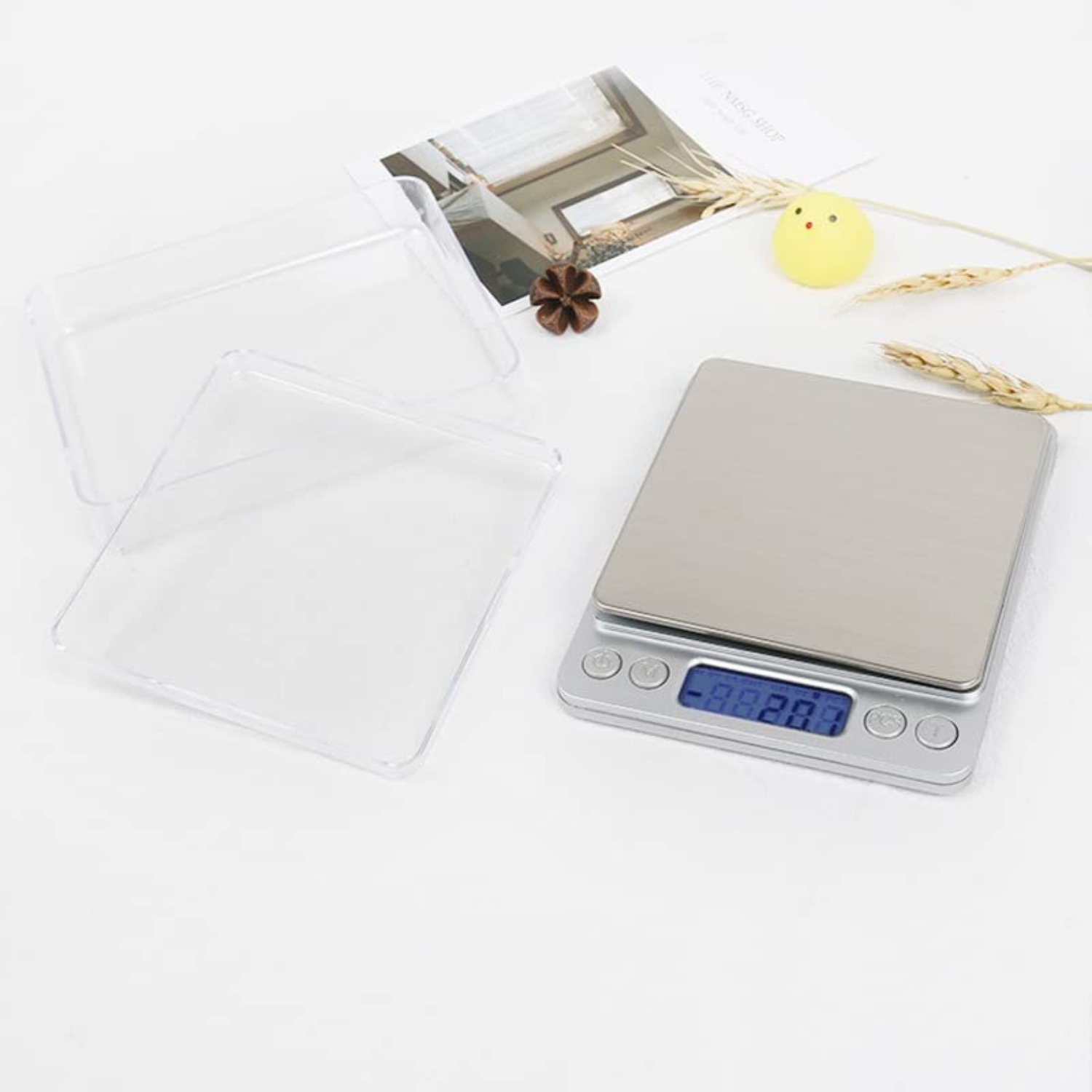 Electronic Scale