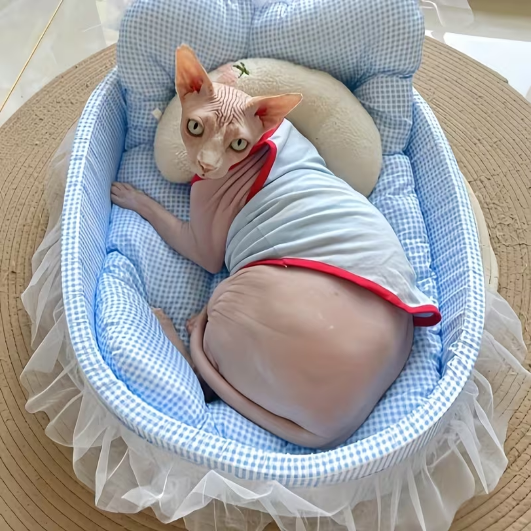 Hexagonal Cat Litter