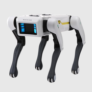 Smart Robot Dog