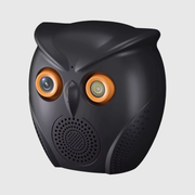 Ai Smart Owl Camera