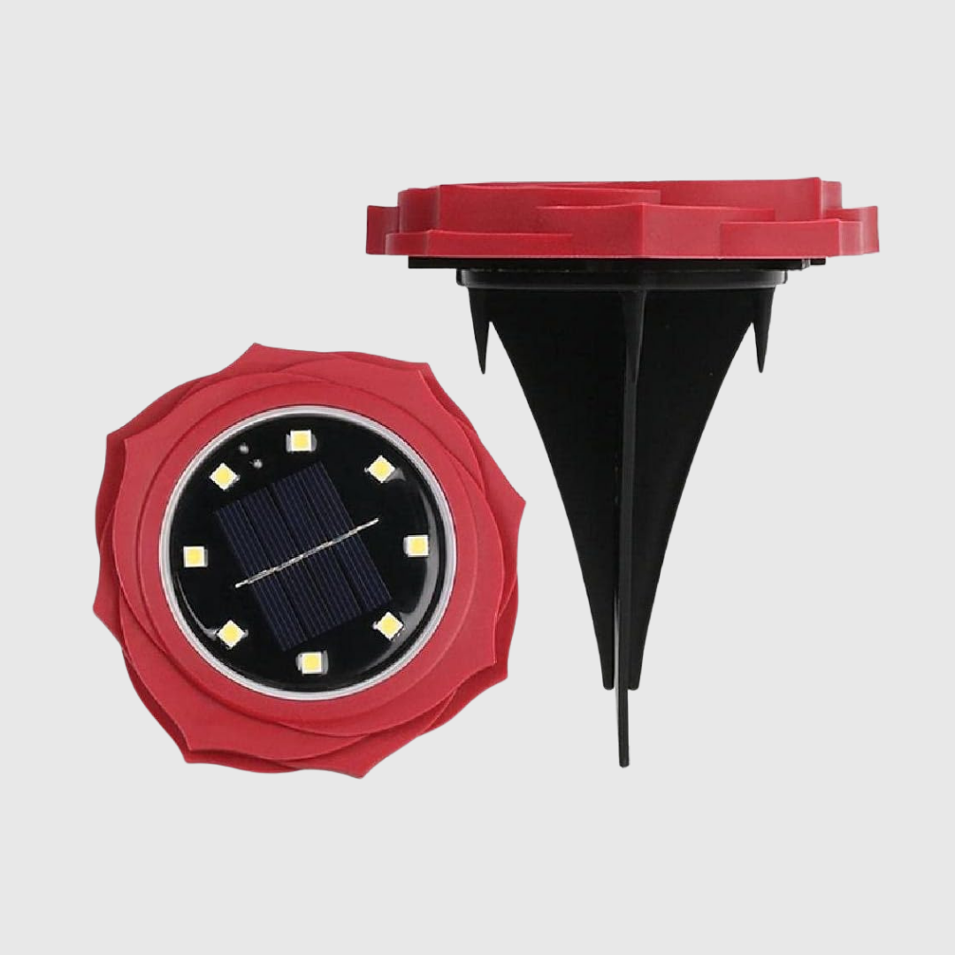 Medium Solar Light 4pcs