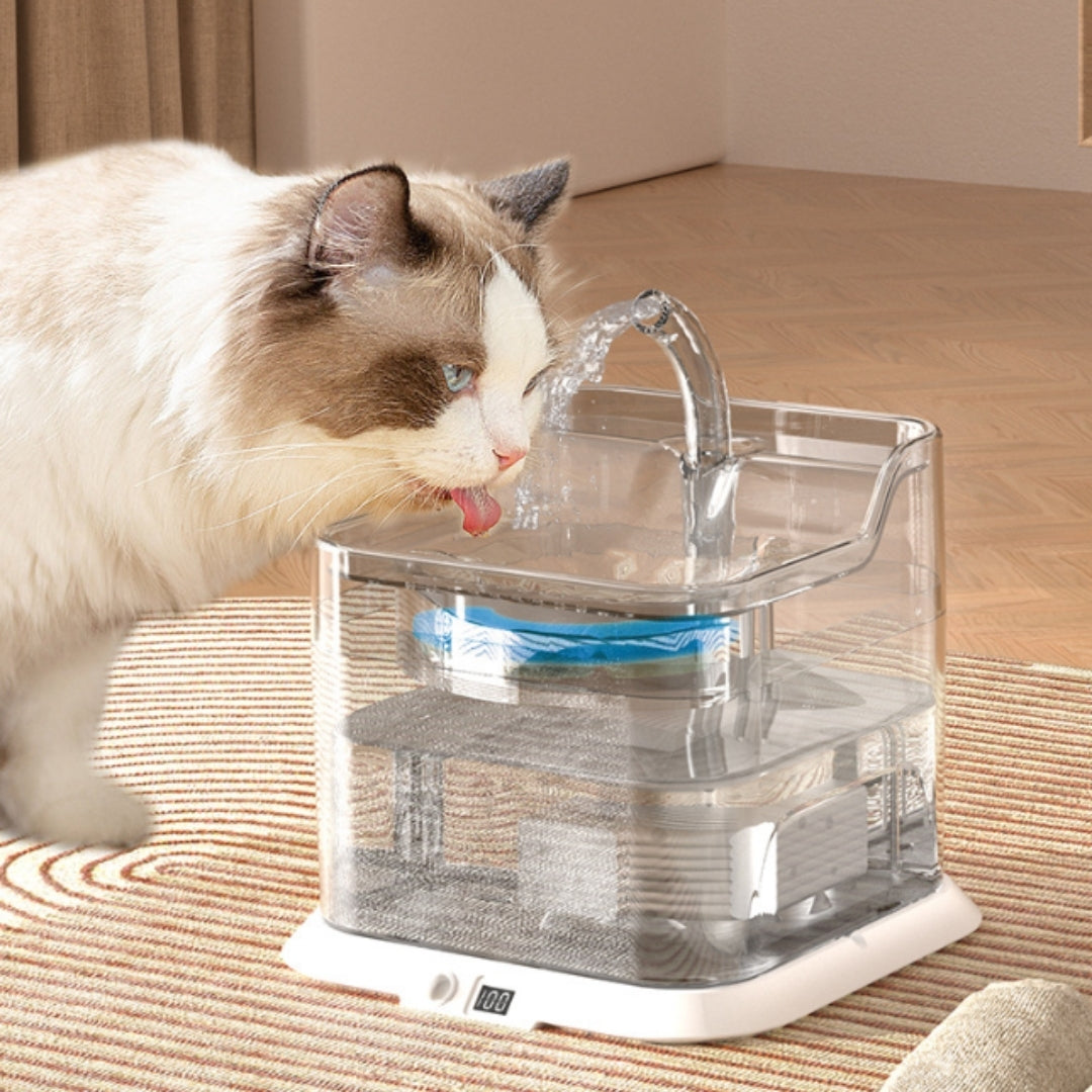 Pet Water Dispenser