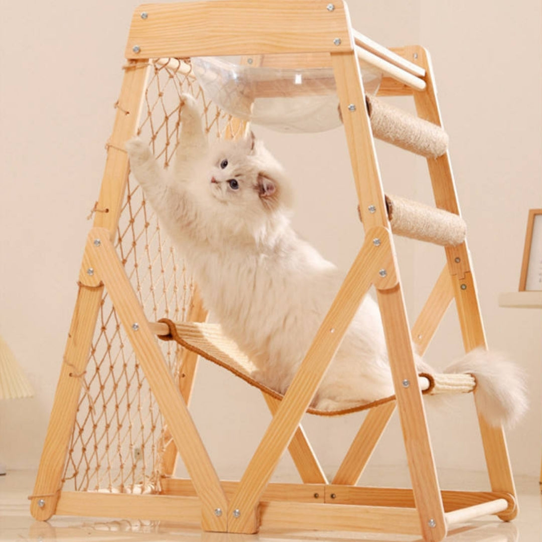Cat Climbing Frame