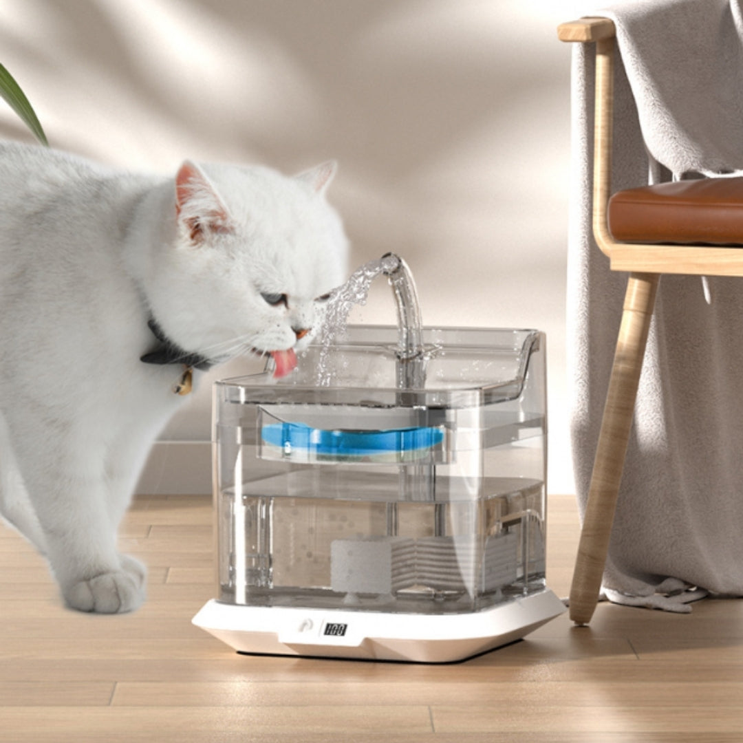 Pet Water Dispenser