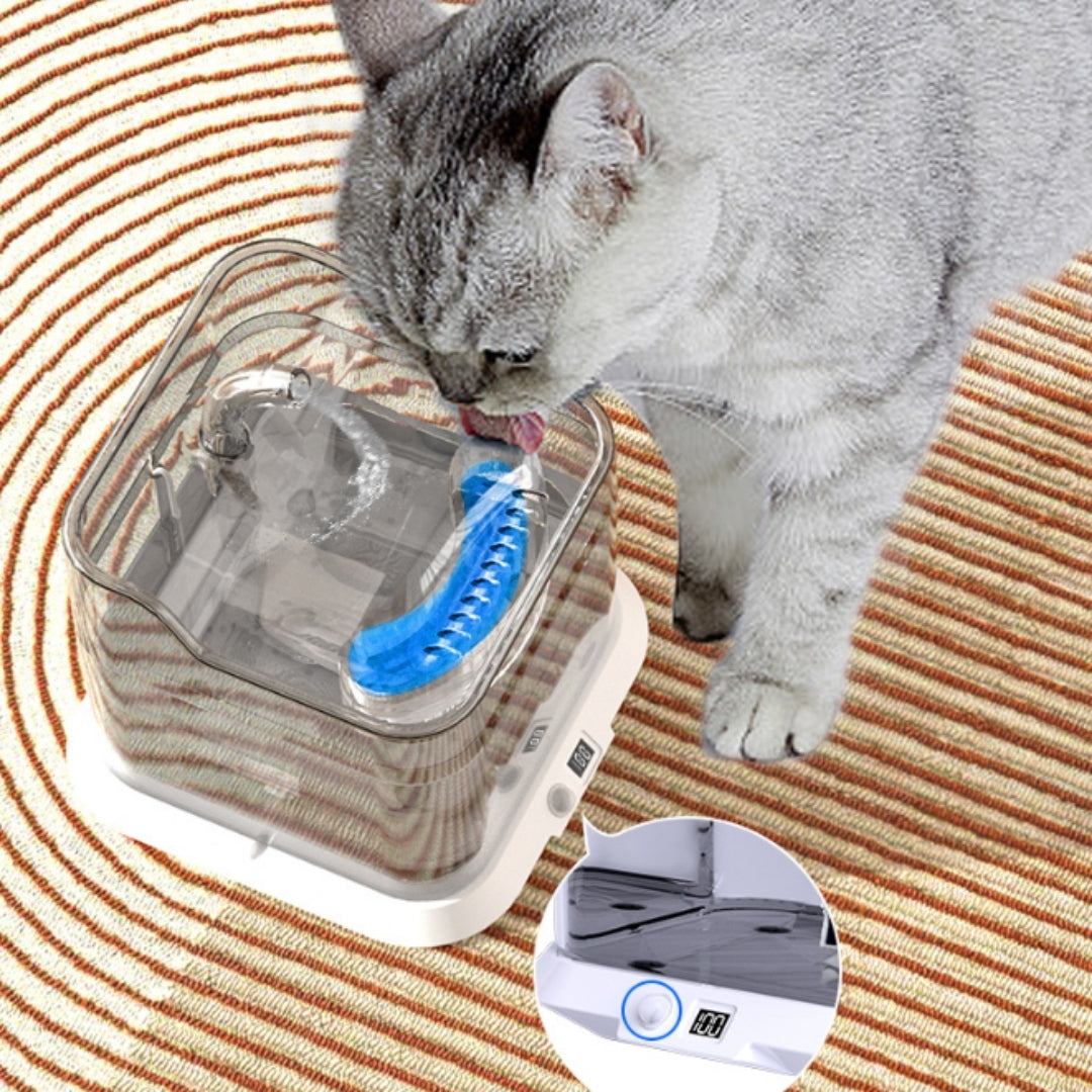 Pet Water Dispenser