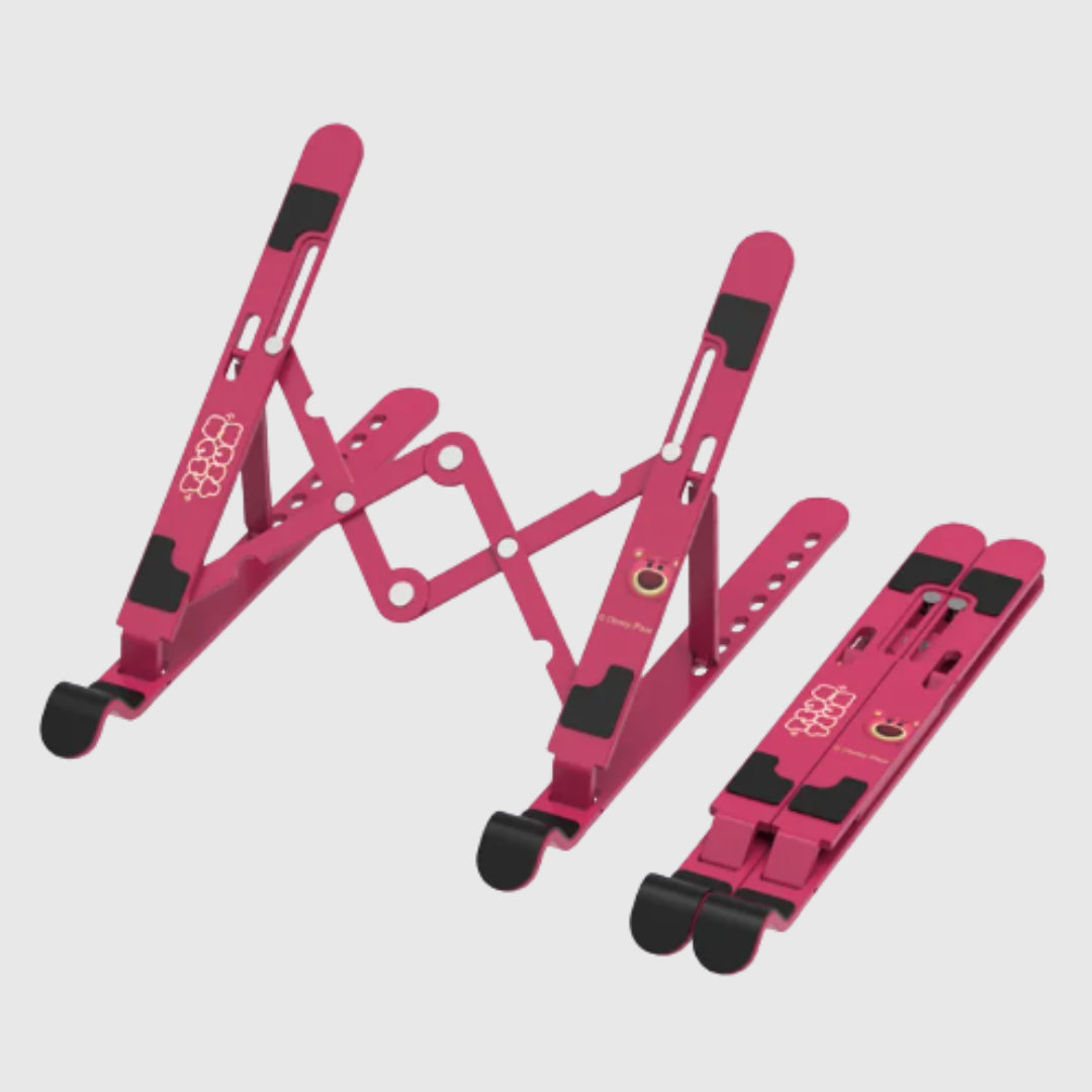 Multi-functional Portable Computer Stand